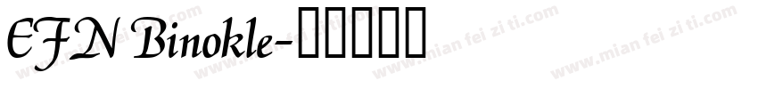 EFN Binokle字体转换